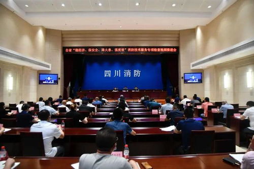 嚴查消防隱患，筑牢安全防線——四川消防技術服務機構專項檢查取得階段性成效